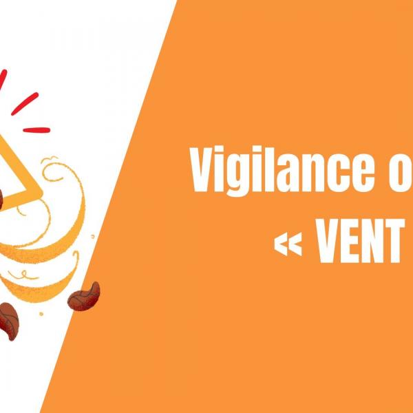 Vigilance Orange - vent